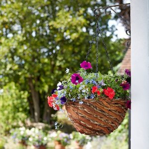 Hanging Baskets