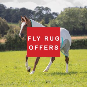 Fly Rugs
