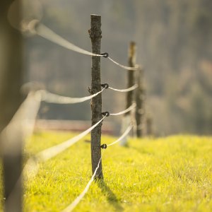 Earthing Accessories Earthing Accessories