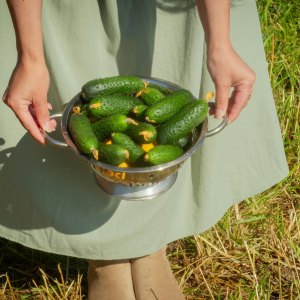Colanders, Jugs & Bowls 