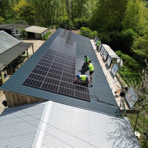 Bloom Renewables
