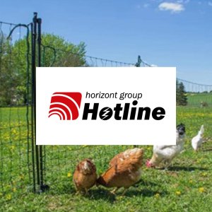 Hotline