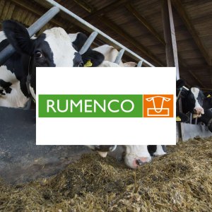 Rumenco 