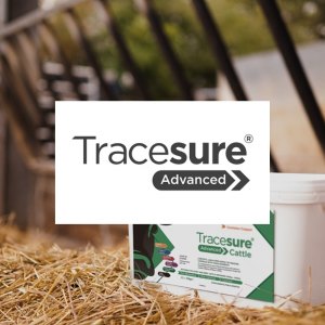 Tracesure