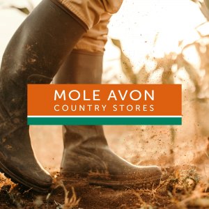 Mole Avon