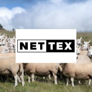 Nettex