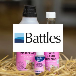 Battles