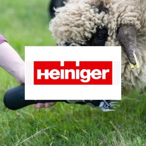 Heiniger 