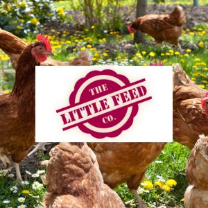 Little Feed Co 