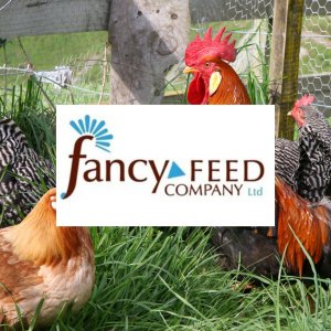 Fancy Feed Co