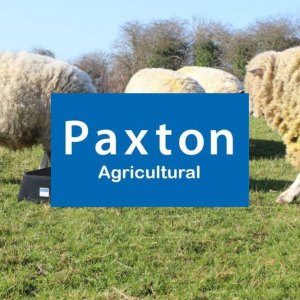 Paxton