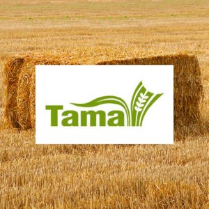Tama 