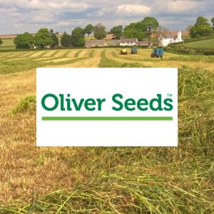 Oliver Seeds