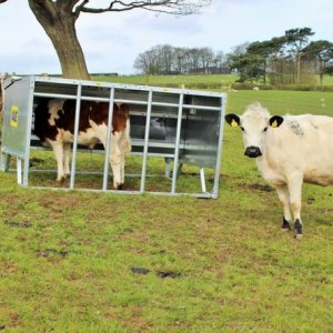 Cattle & Calf Feeders