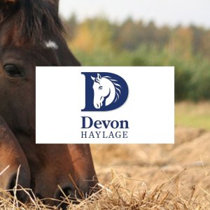 Devon Haylage 