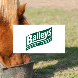 Baileys