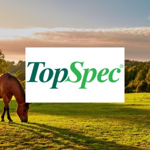 TopSpec