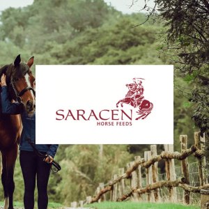 Saracen 