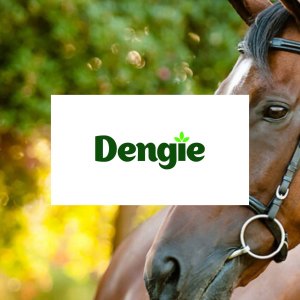 Dengie