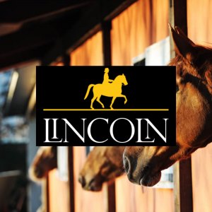 Lincoln