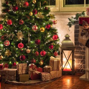 Lights, Trees & Decorations