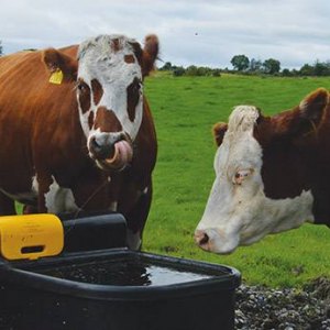 Water Troughs