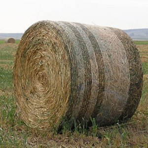 Bale & Crop Net