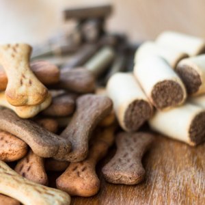 Dog Treats