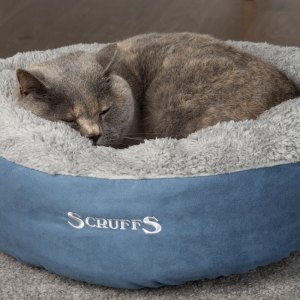 Cat Beds & Carriers