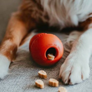 Treat Dispensers