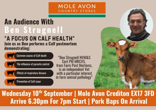 An Evening With Ben Strugnell