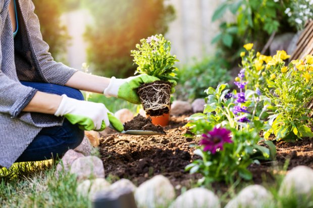 How to Get Your Garden Ready for Spring