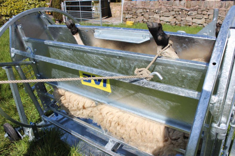 IAE Standard Turnover Crate Sheep Handling Mole Avon