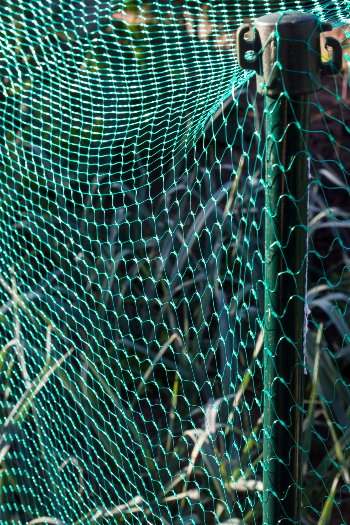 Apollo Multipurpose Green Garden Netting Wire & Netting Mole Avon