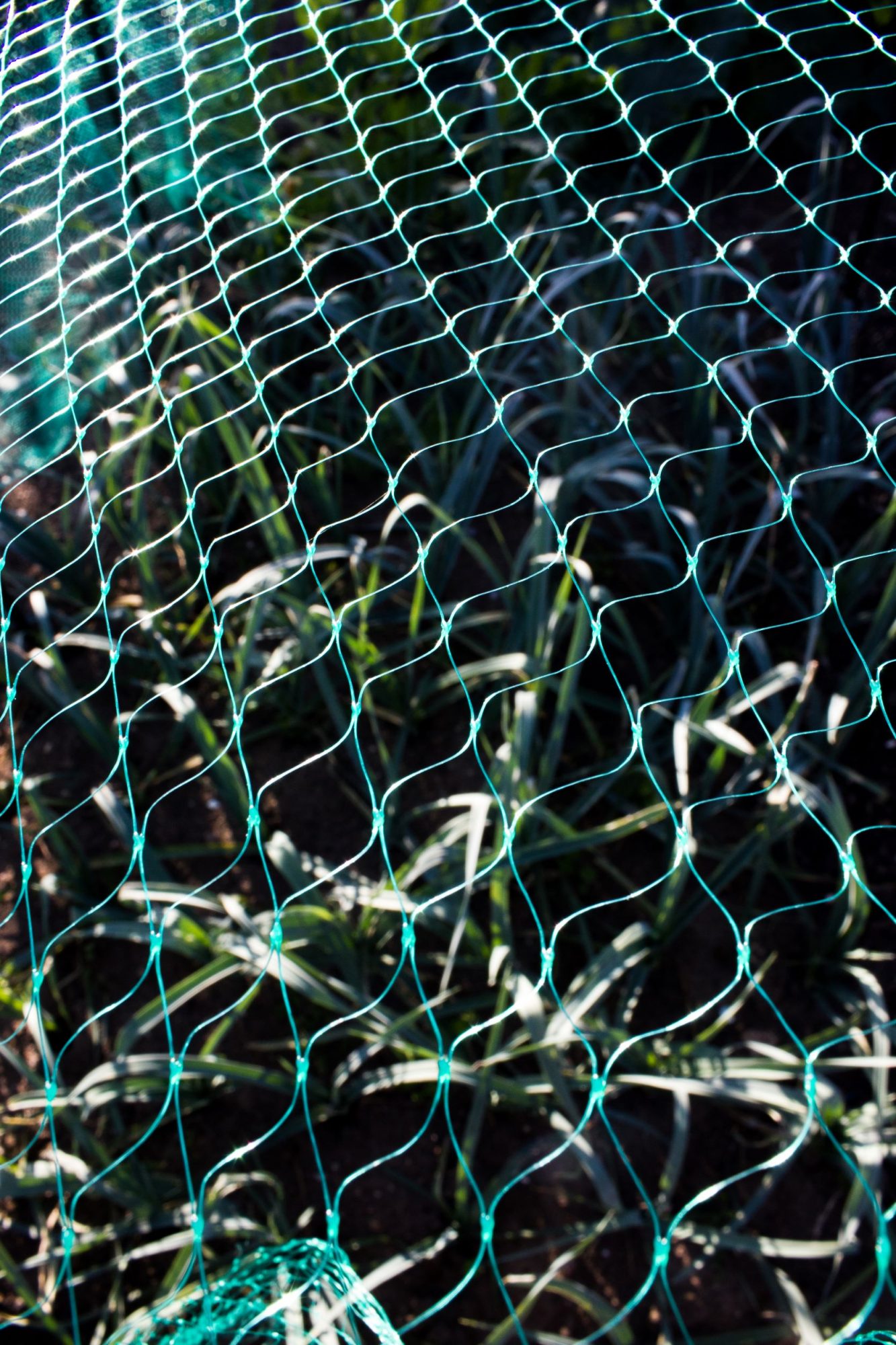 Apollo Multipurpose Green Garden Netting Wire & Netting Mole Avon