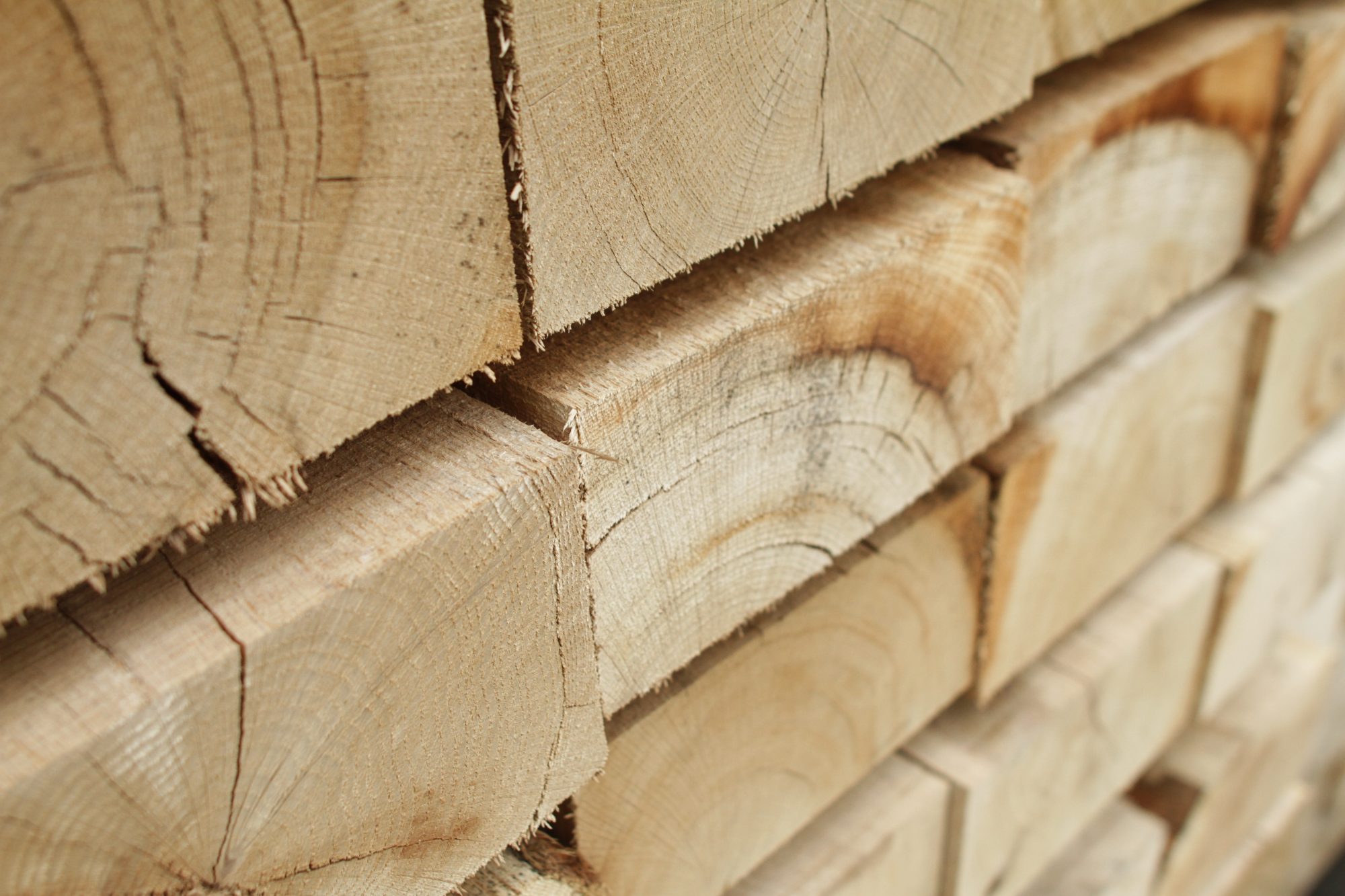 Oak Sleeper 2.4m Sleepers Mole Avon