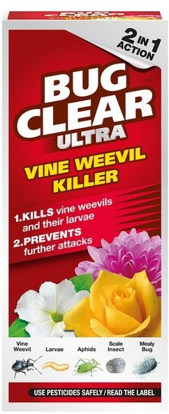 Vine weevils - treatment and control