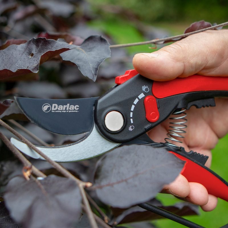 DARLAC Darlac Adjustable Bypass Pruner Shears & Pruners Mole Avon