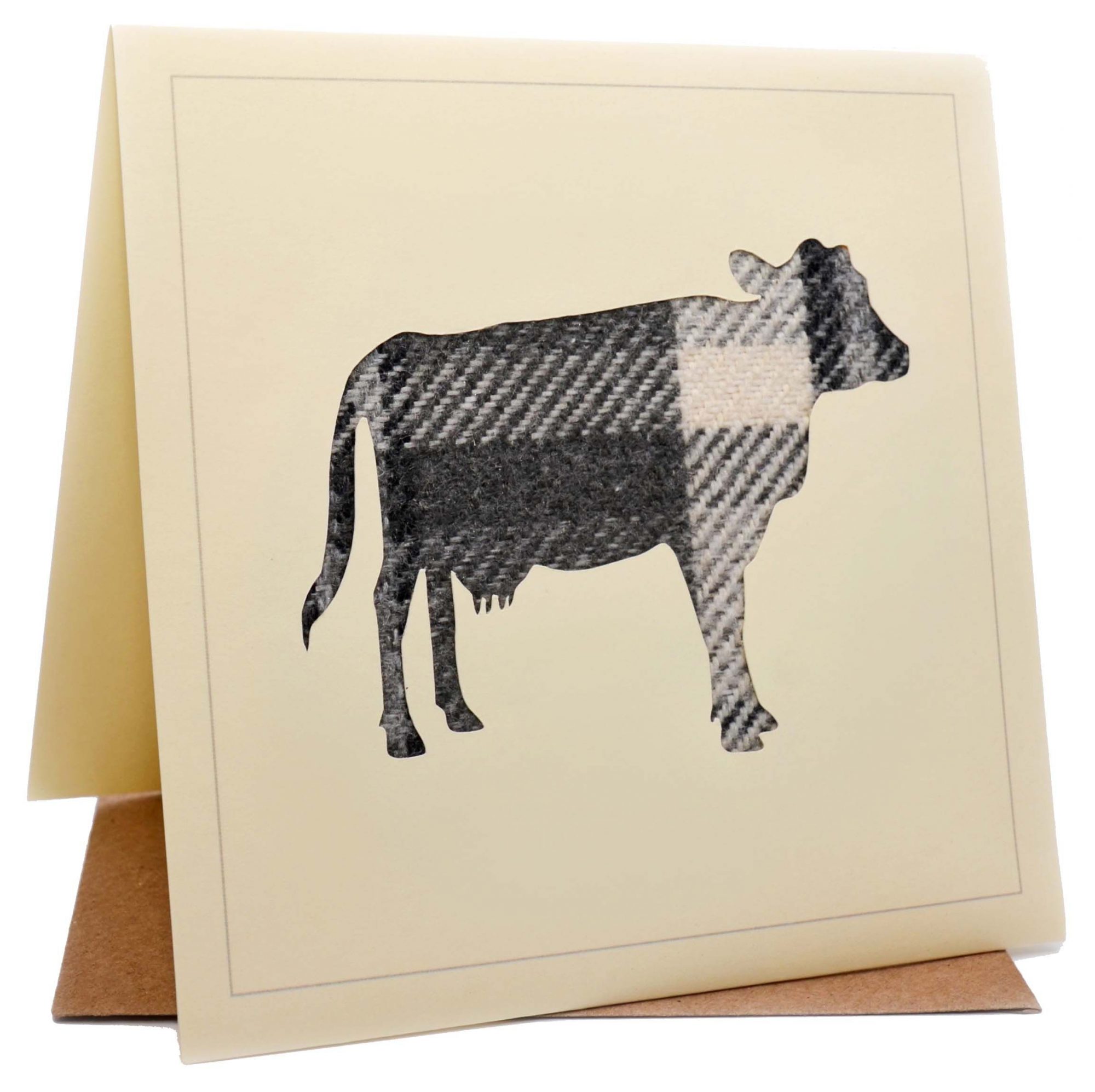 Tartan Themed Photo Upload Happy Birthday Card