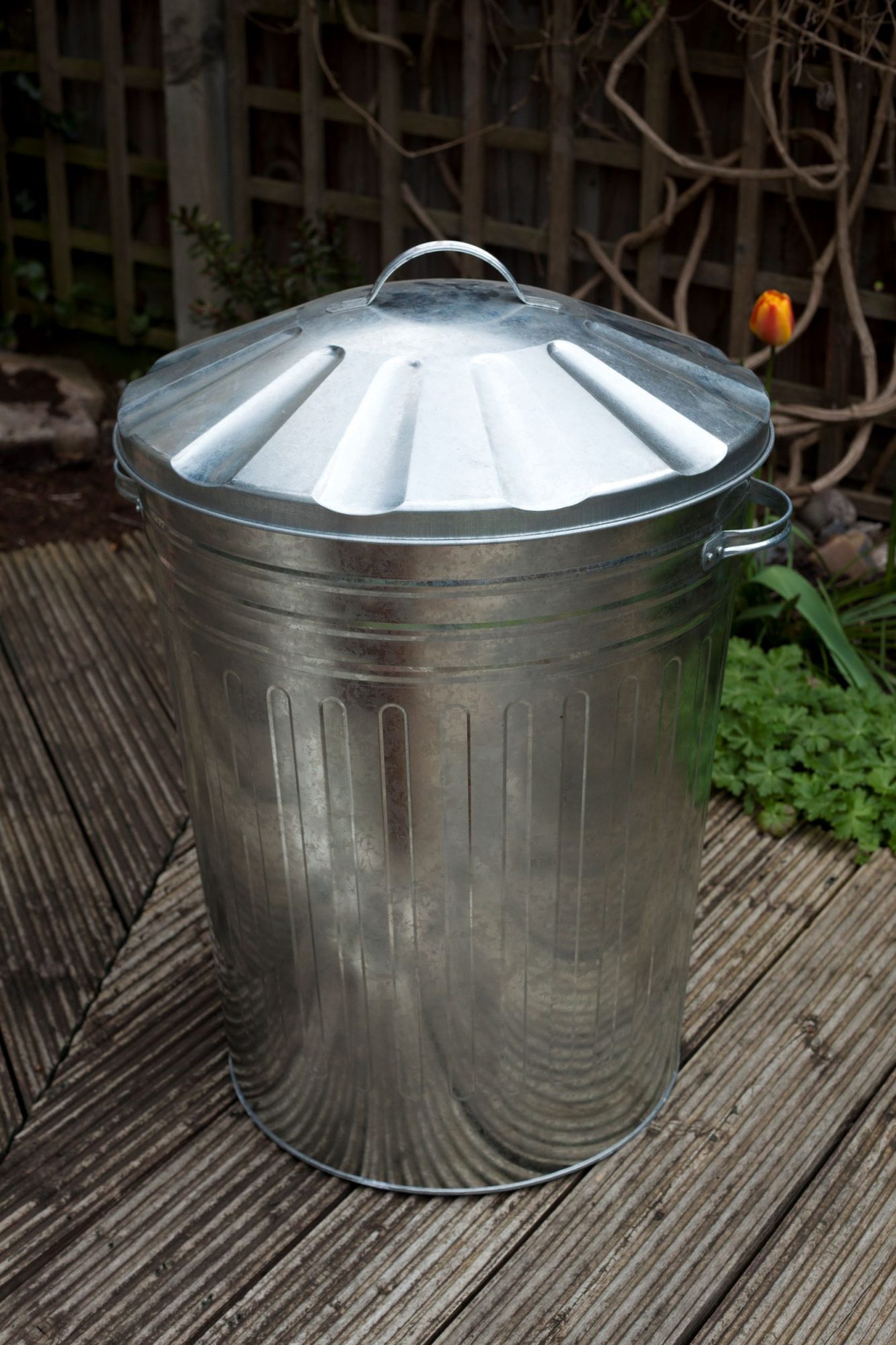 PARASENE Galvanised Dustbin & Lid 18" Storage & Bins Mole Avon