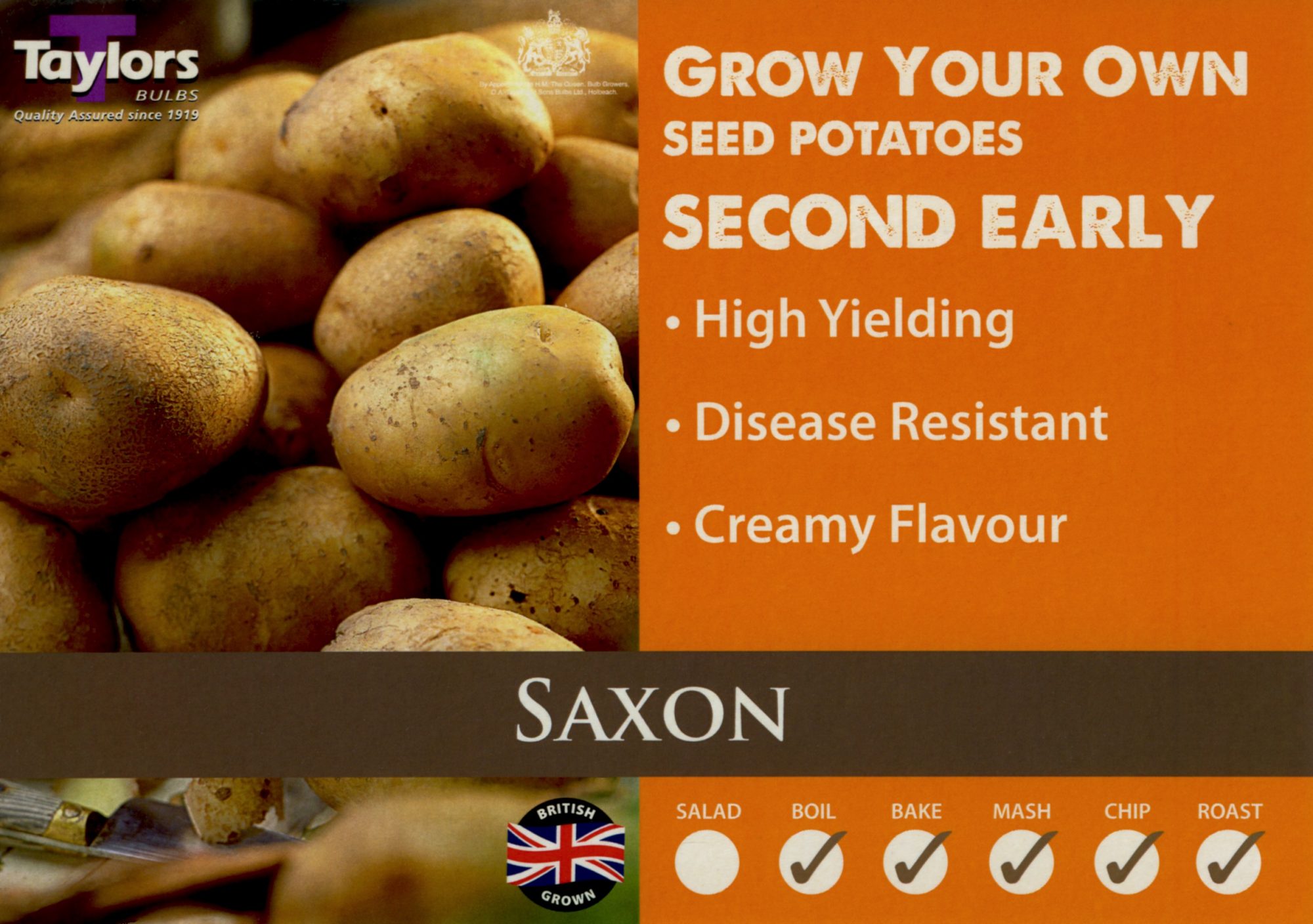 Taylors Bulbs Potato Saxon 2kg Seeds & Bulbs Mole Avon