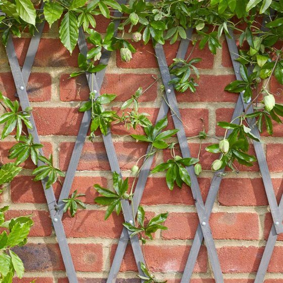 Heavy Duty Expanding Trellis Grey 1.8m Trellis & Fencing Mole Avon