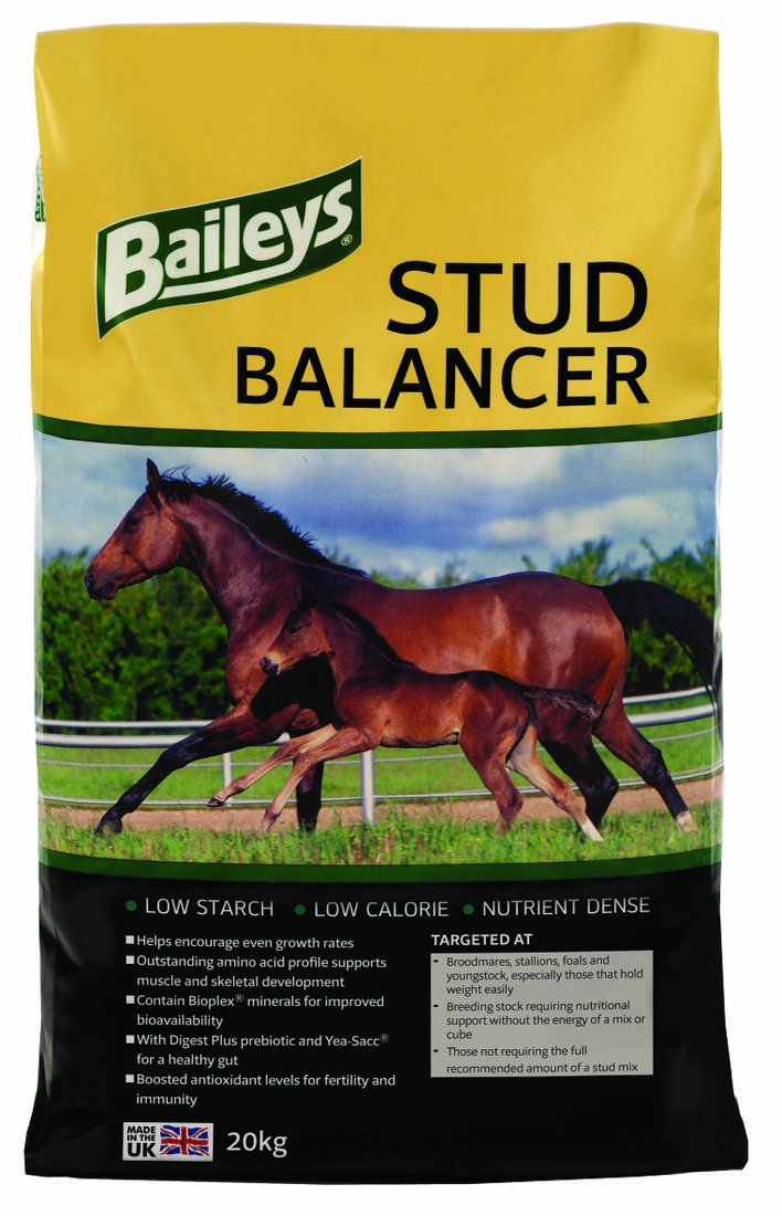 Baileys Horse Feeds Baileys Stud Balancer Feed Balancers Mole Avon