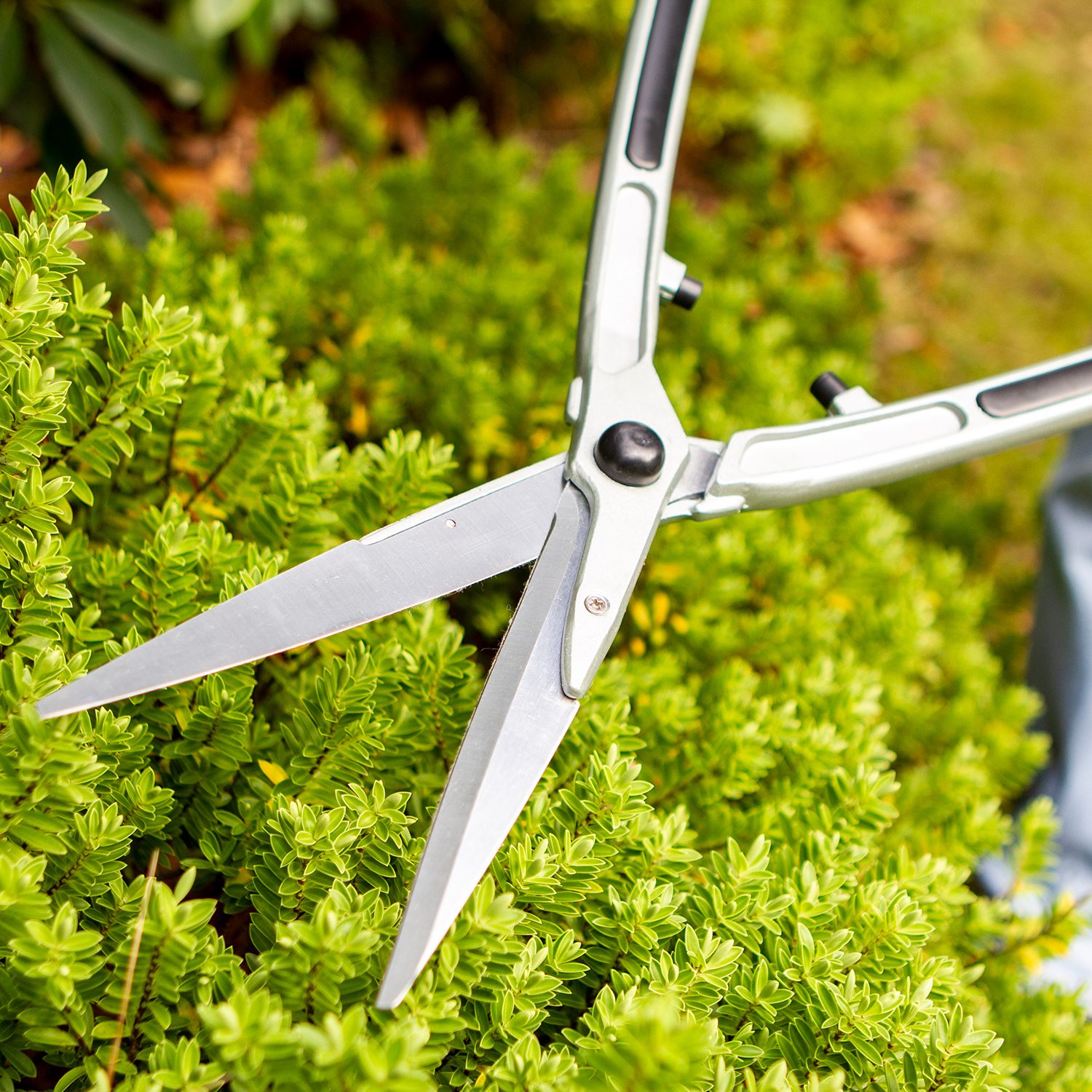 DARLAC Darlac 8" Lightweight Shear Shears & Pruners Mole Avon