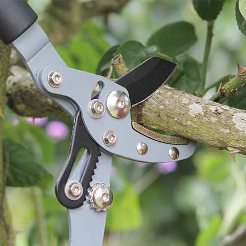 Darlac Telescopic Anvil Lopper Shears & Pruners Mole Avon