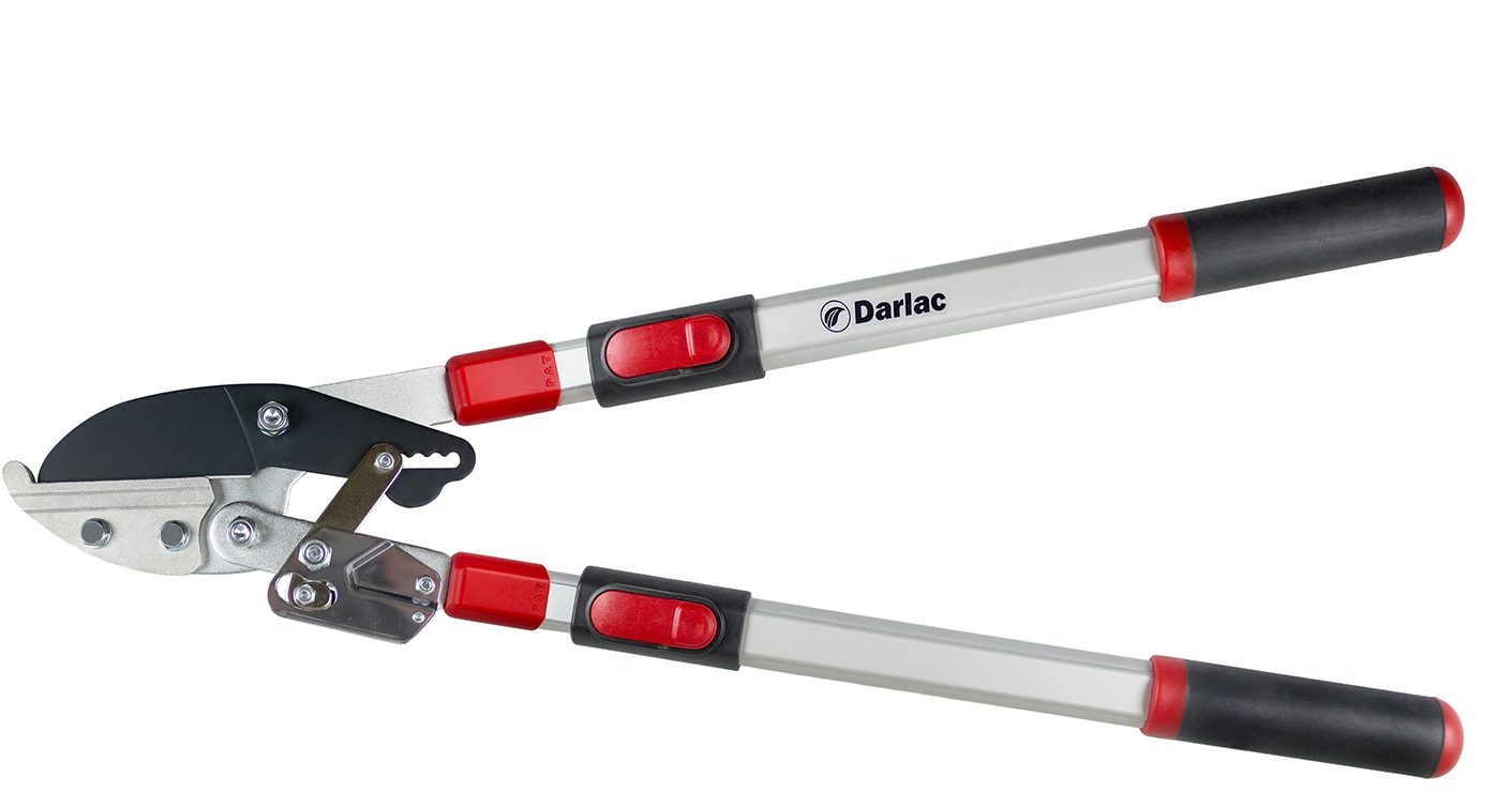 Darlac Telescopic Ratchet Lopper Shears & Pruners Mole Avon