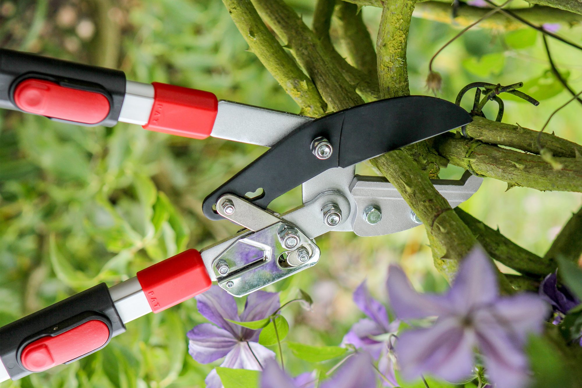 Darlac Telescopic Ratchet Lopper Shears & Pruners Mole Avon