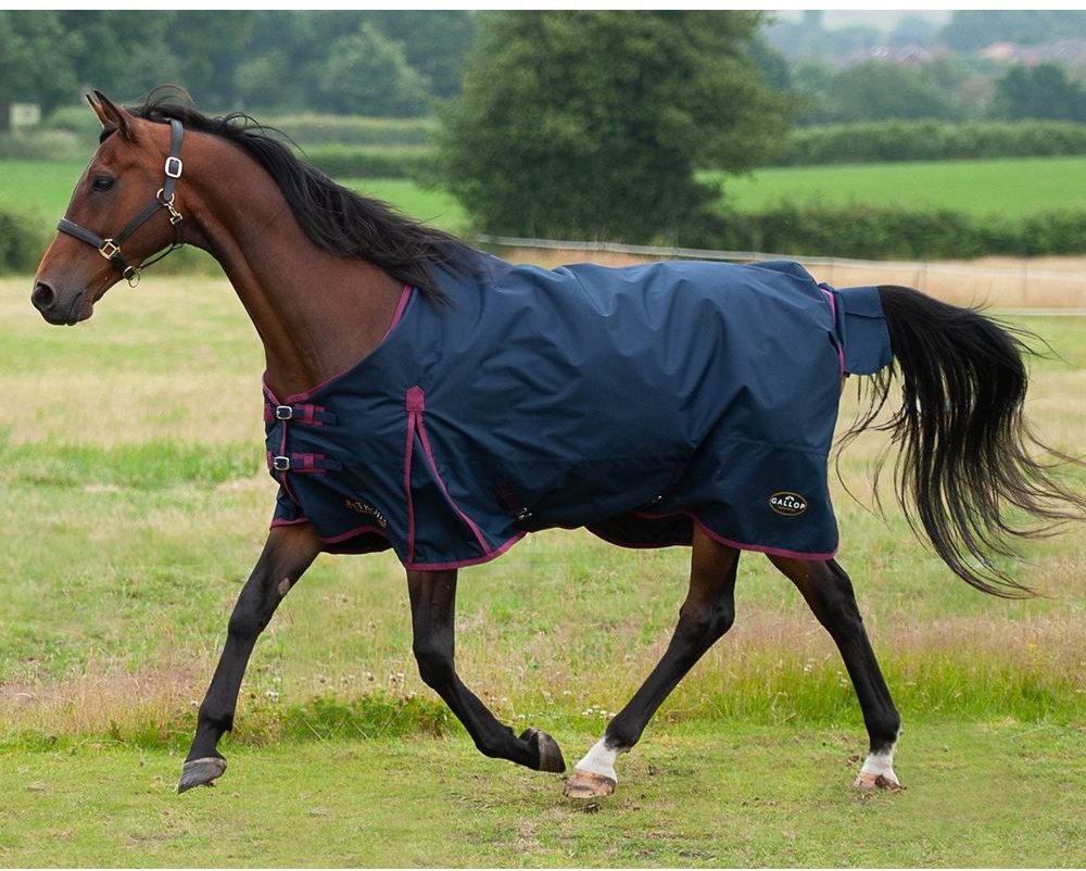 Gallop Trojan 50 Turnout Rug Navy Horse Rugs Mole Avon