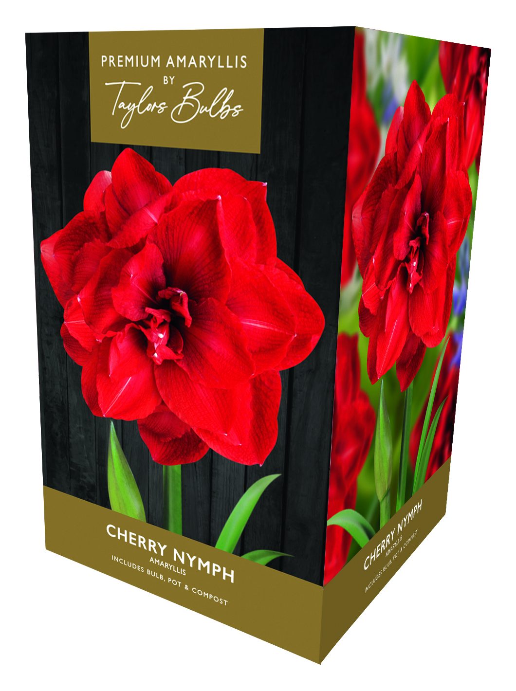 Taylors Bulbs Taylors Bulb Amaryllis Gift Pack Assorted Autumn/Winter