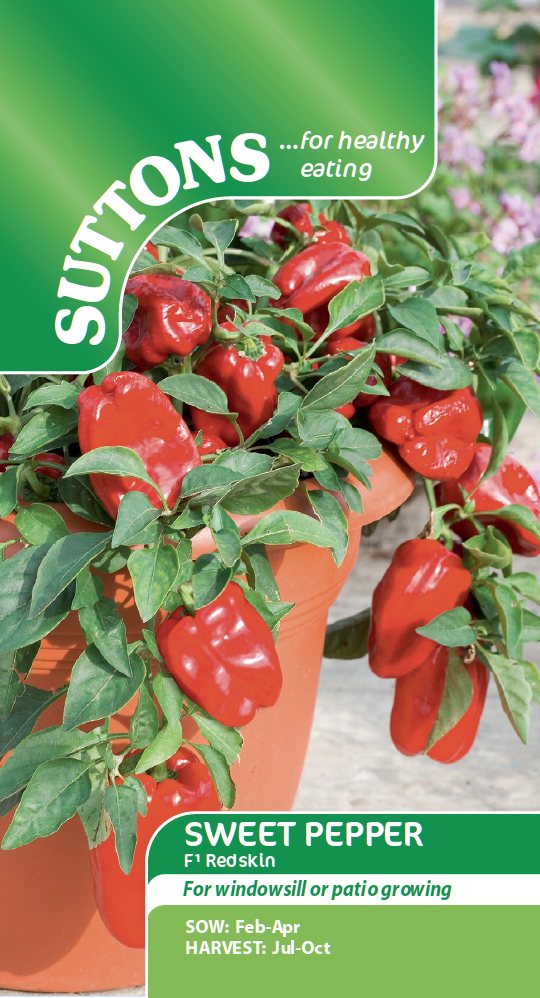SUTTONS Sweet Pepper Redskin F1 Seeds Vegetables Mole Avon